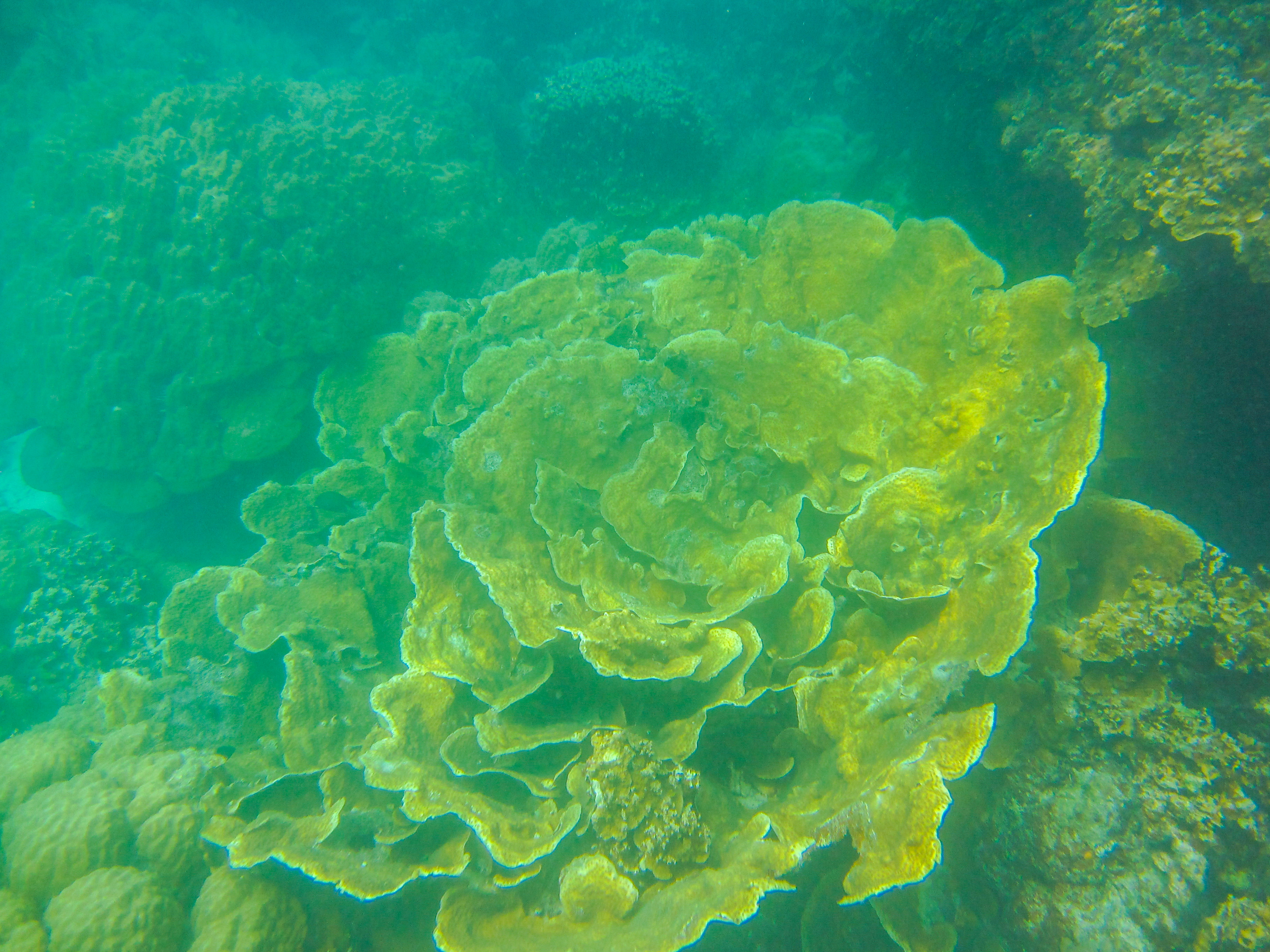 孤悬在太平洋上的岛国,帕劳,人生最值得一去的旅游目的地之一