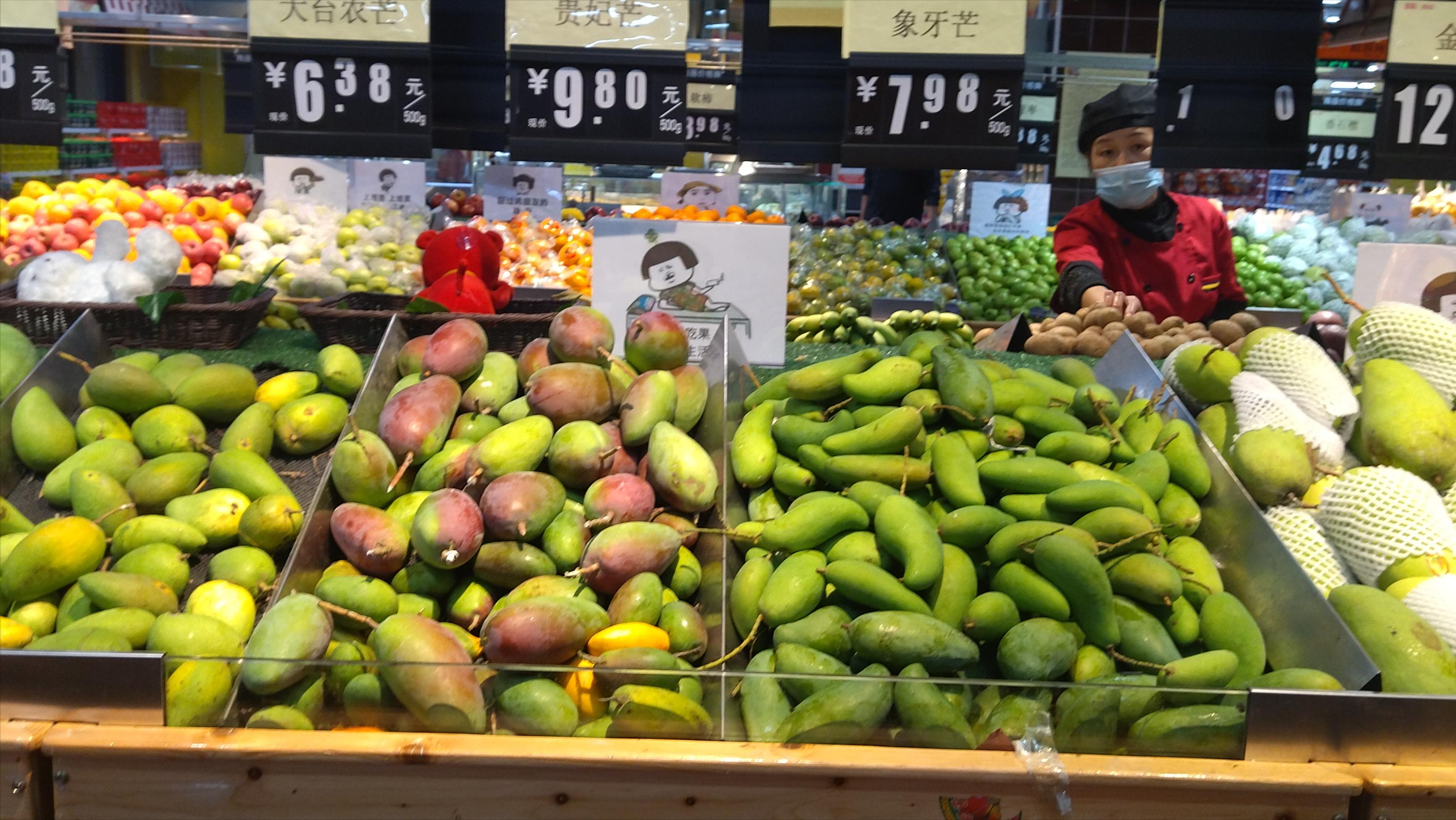 海南猫冬游玩攻略,海南猫冬介绍