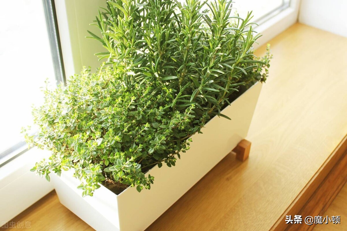 什么原因导致多囊卵巢,什么原因导致输卵管堵塞