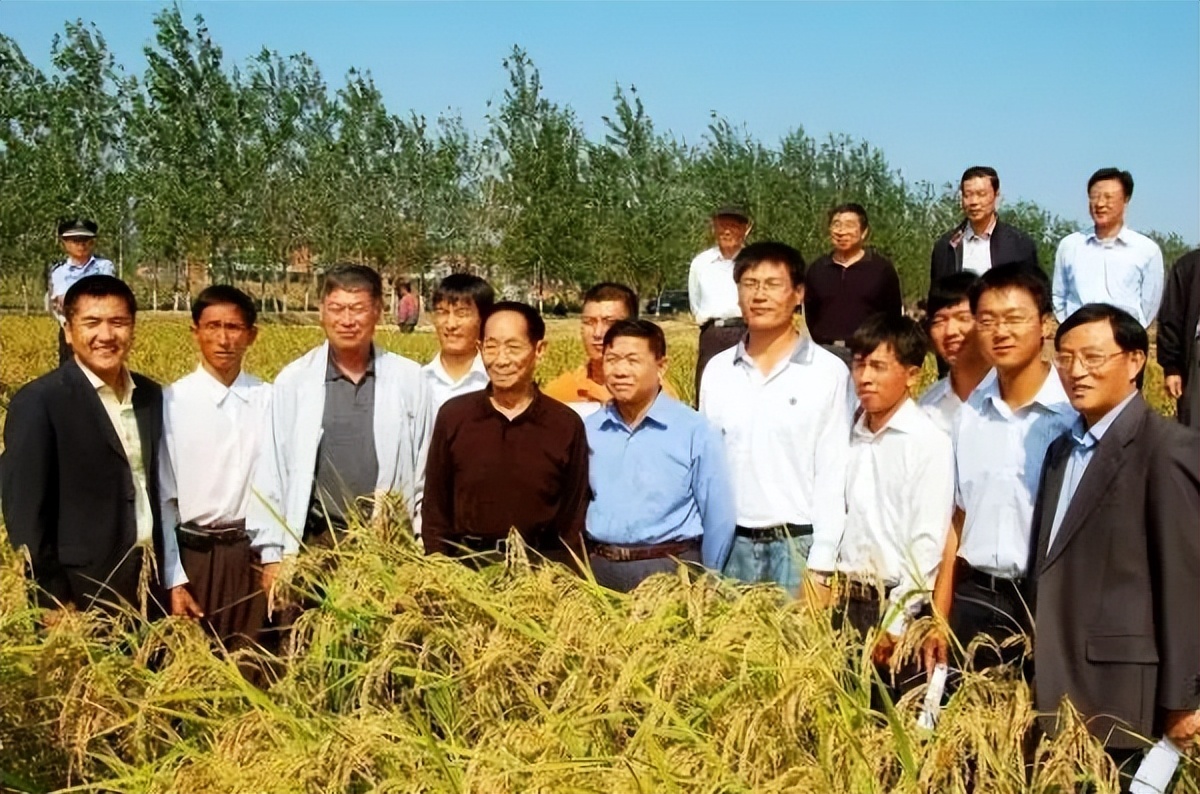 麦田铺红毯原视频,麦田铺红毯是真事吗