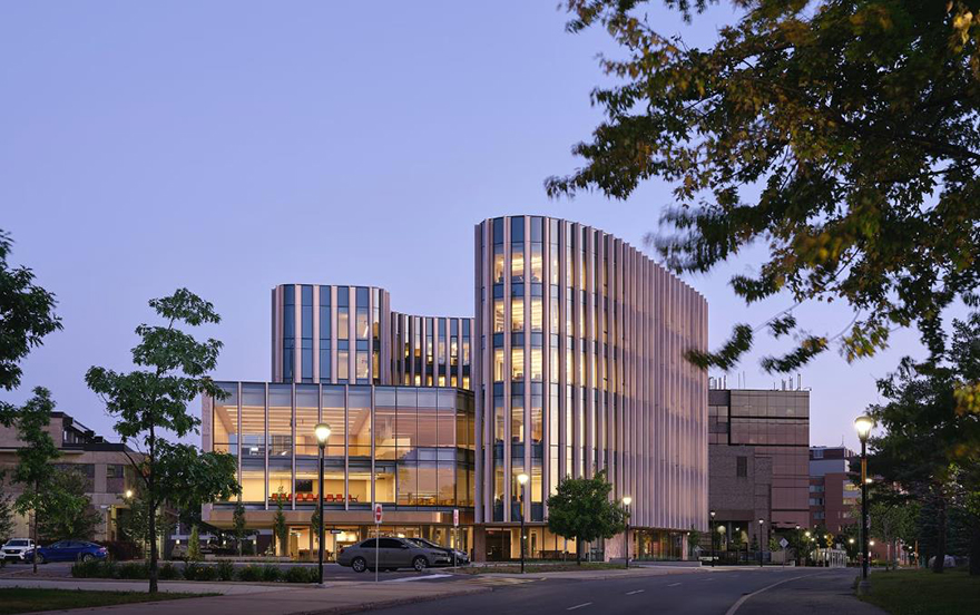 typology涓枃,typology