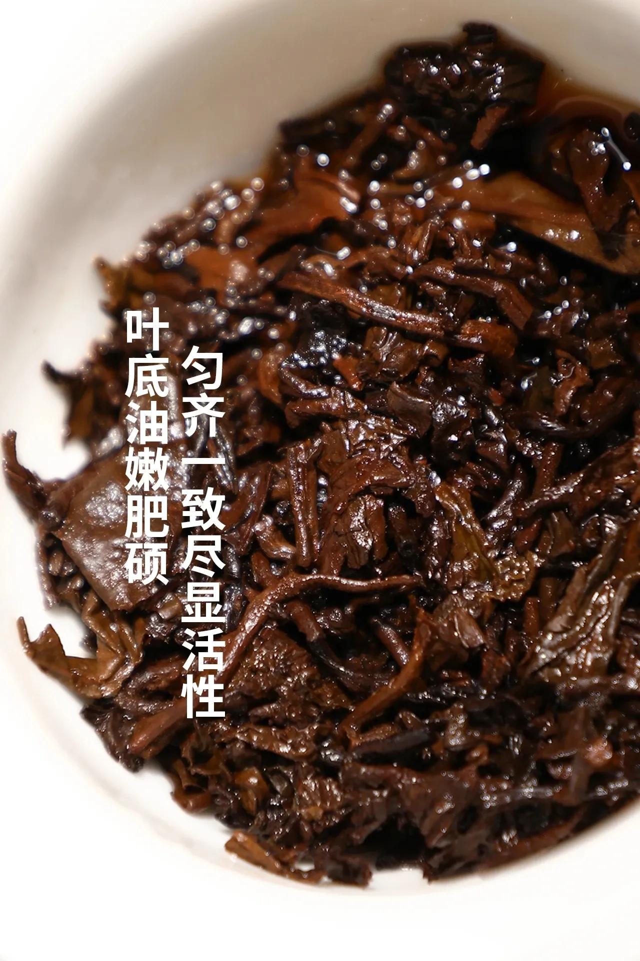 老同志普洱茶2015,老同志普洱茶特制品2010