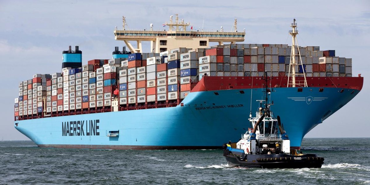 轮船底下的海鲜可以吃吗,船底下面清理出来的海鲜能吃不