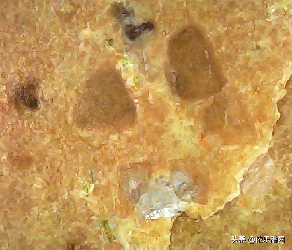 深色基质的都是碳质球粒陨石吗,红色基质黑色球粒是什么陨石