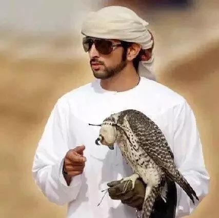 迪拜王子哈曼丹和哥哥拉希德,迪拜王子哈曼丹写的诗