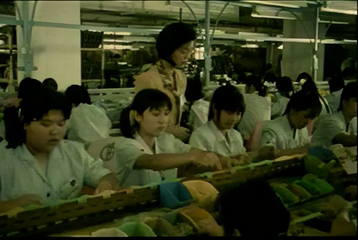 苹果越南制造还是中国制造好,中美苹果印度制造