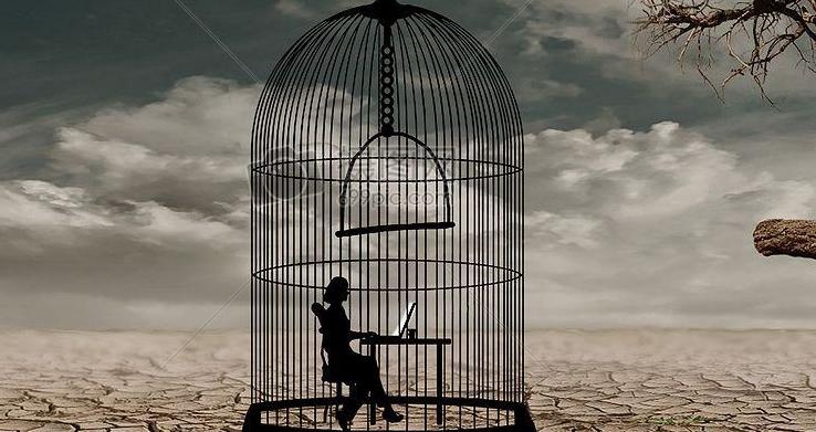 我们活在巨大的差距里书籍解读,我们活在一个巨大的假象里