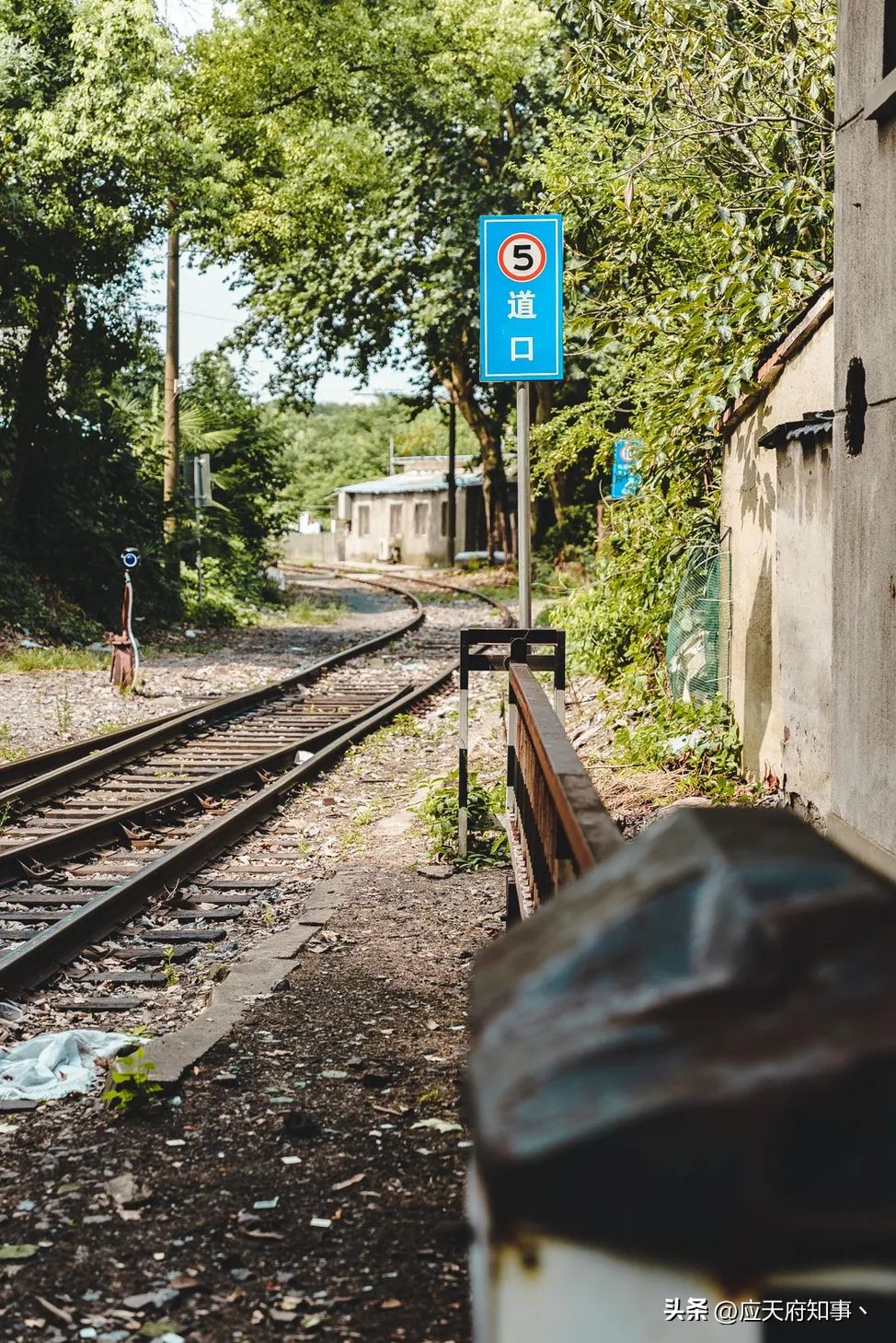 被城市抛弃的地方,被抛弃的城市现状