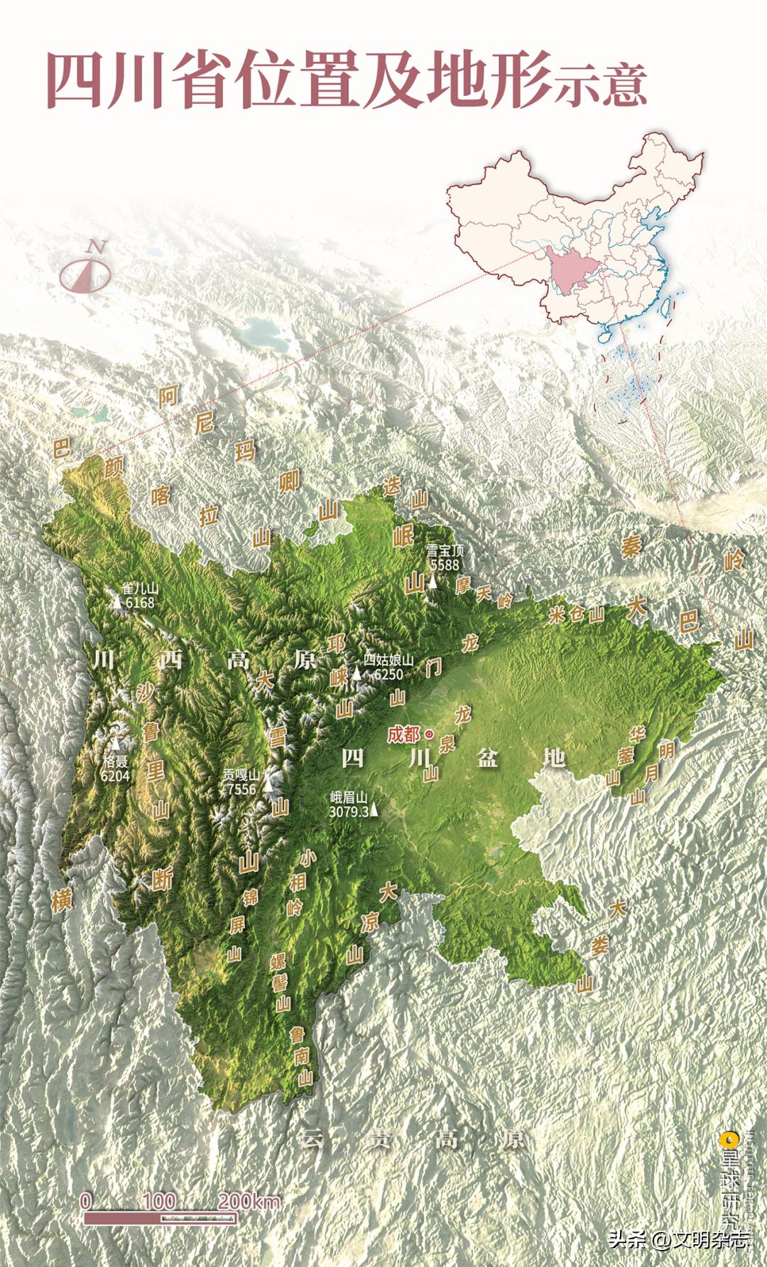 兔子来阳台,兔子来到新家