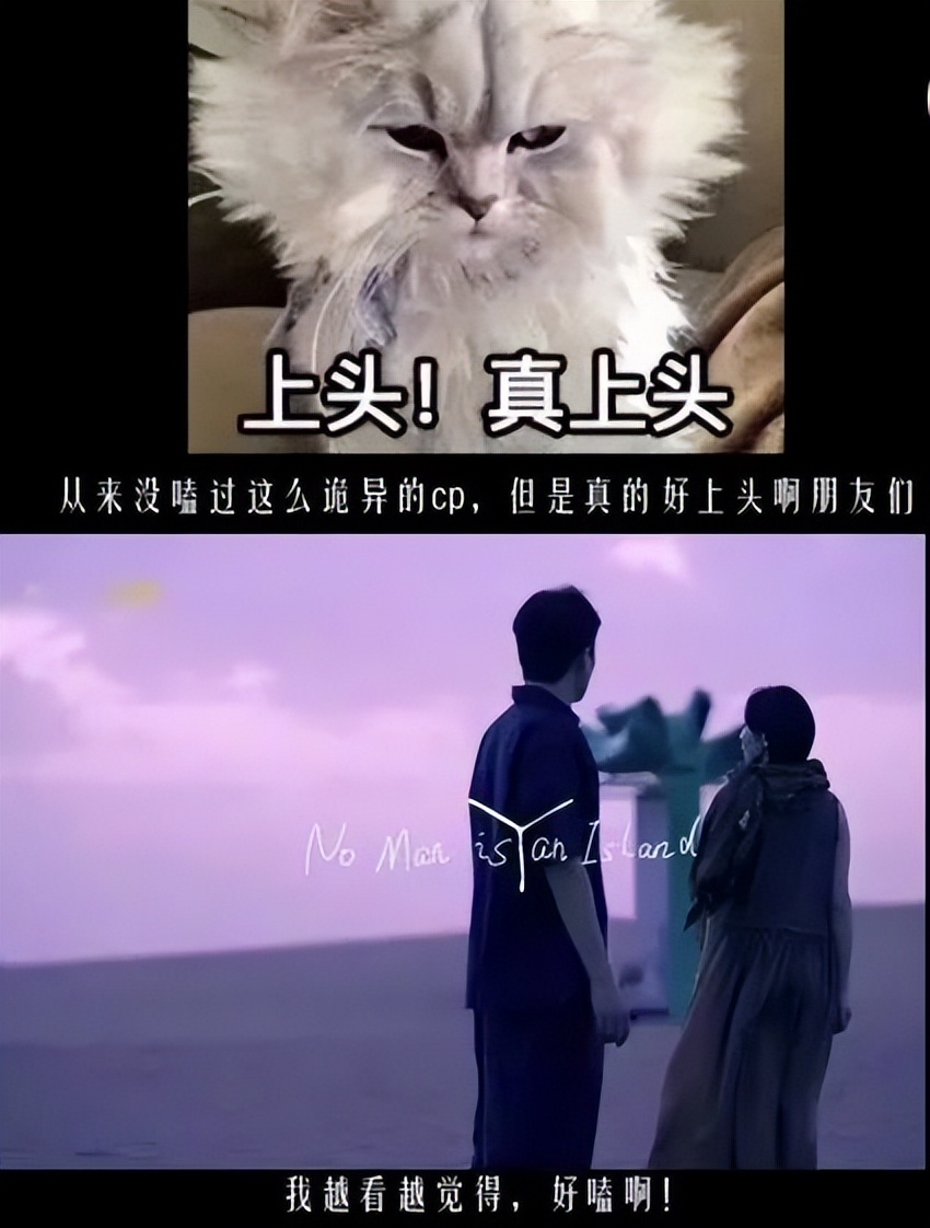 盘点内娱cp18年,内娱哪对cp可能是真的