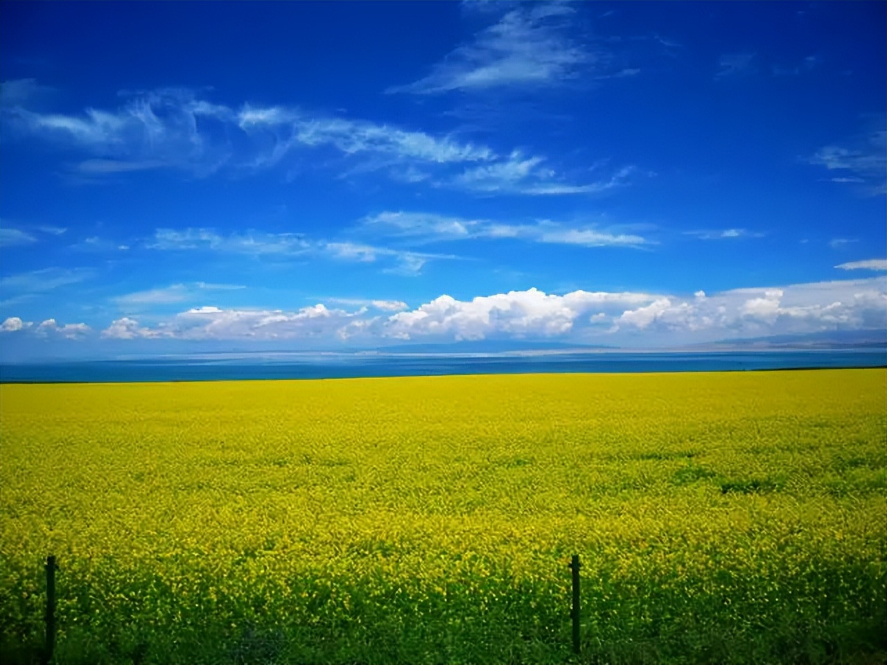 青海甘肃宁夏大环线旅游攻略,青海甘肃大环线亲子游攻略
