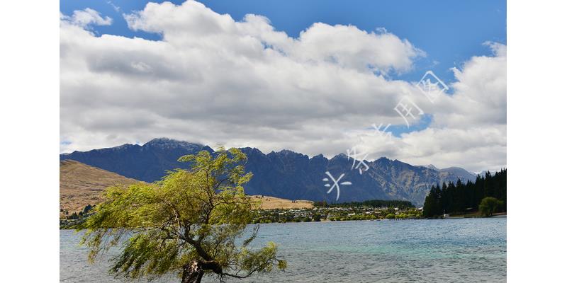 女子怀孕四个月吃煎蛋被赶出家门,女子怀孕因一个鸡蛋被抛弃完整版