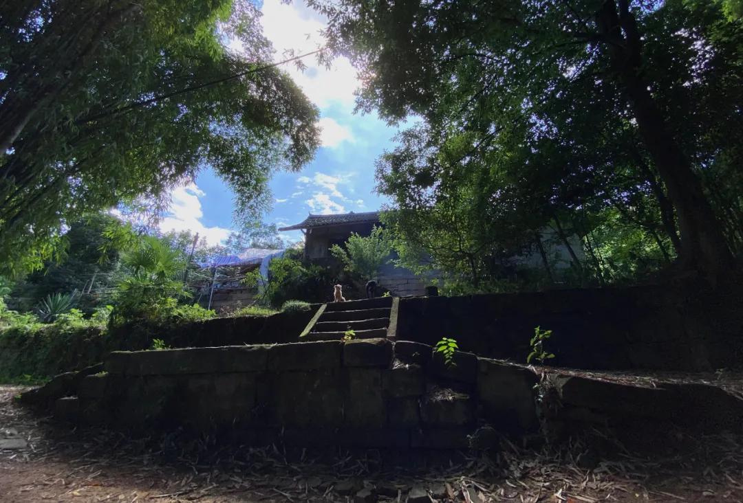 邛崃方言大全,邛崃话起源