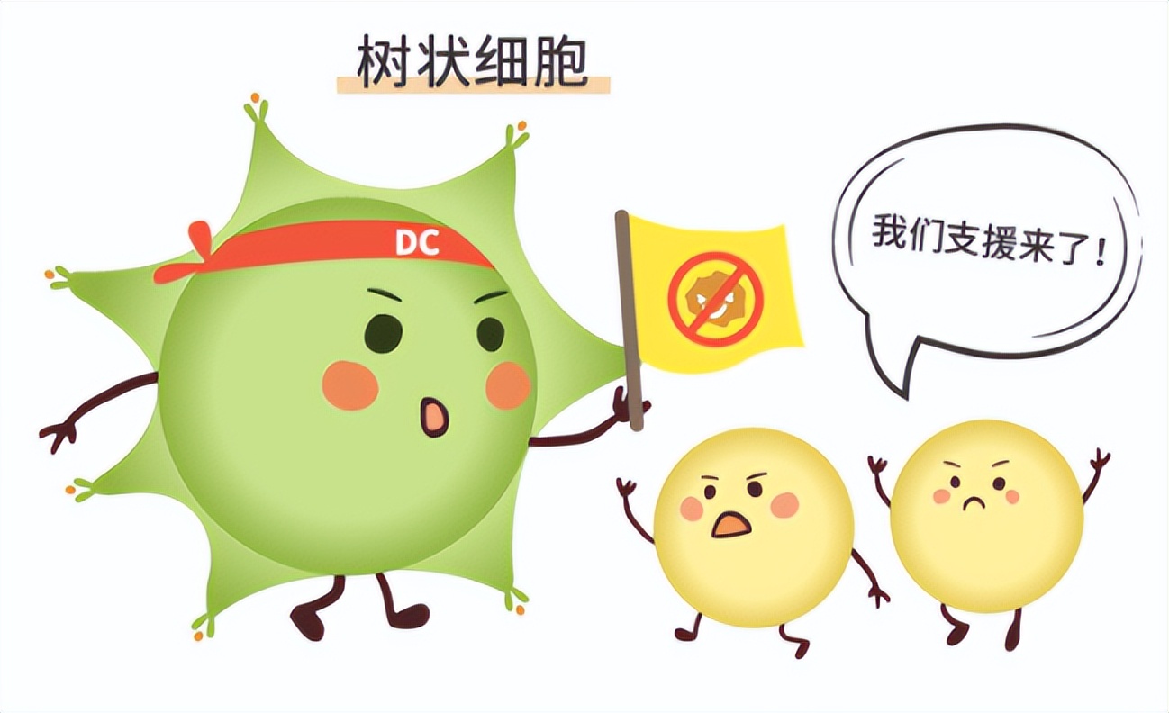 肠道菌群检测有哪些科研方法,肠道菌群检测可以查出哪些疾病