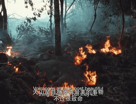 盘点内娱cp18年,内娱哪对cp可能是真的