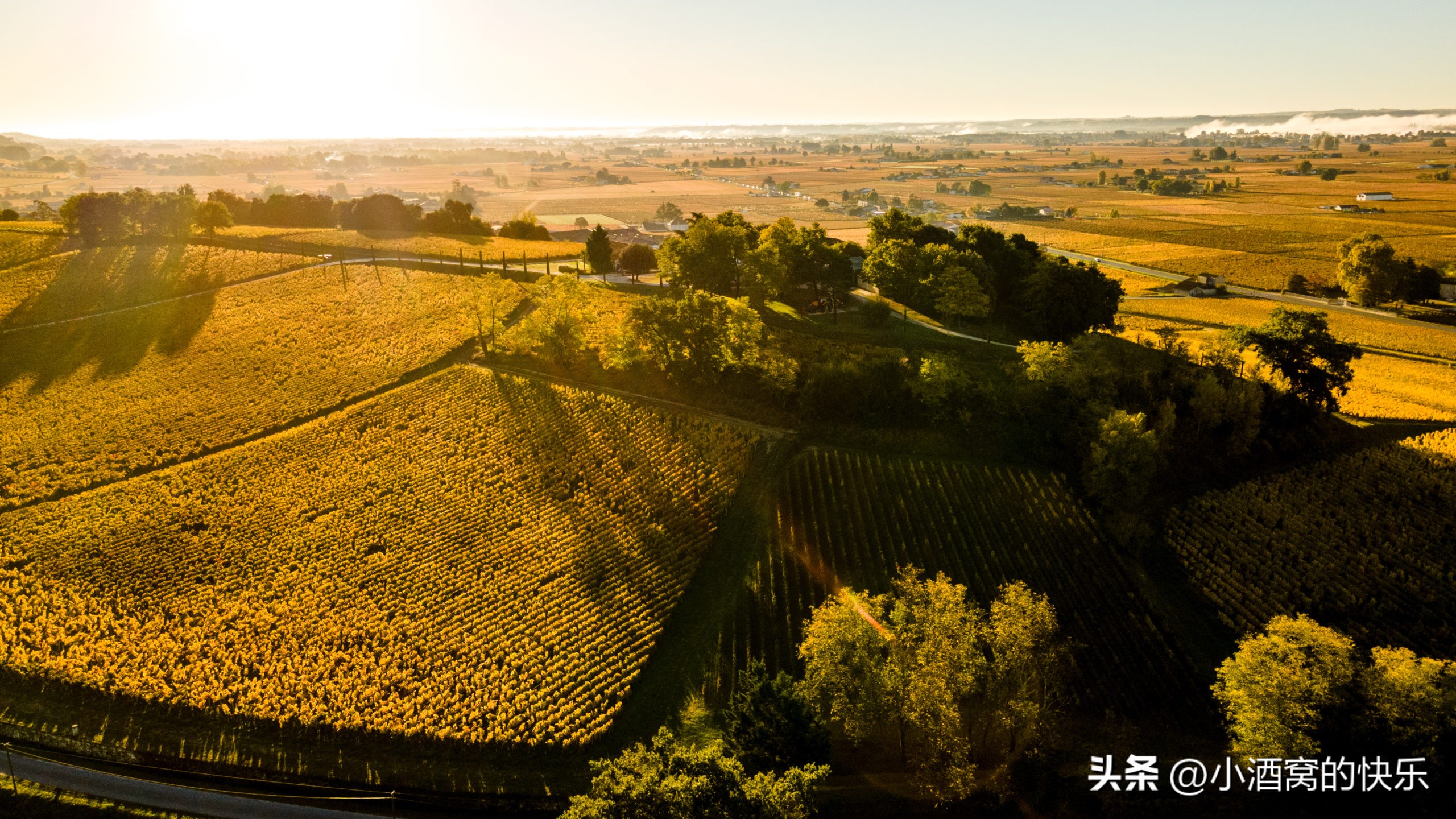 波尔多凯尔西酒庄chateauquercy,法国波尔多麦隆堡酒庄