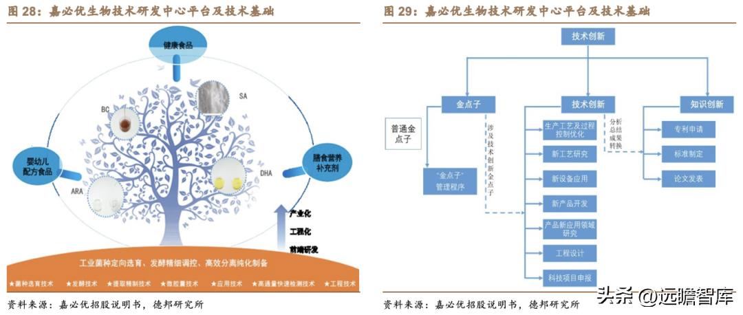 嘉必优生物有限公司怎么样,嘉必优生物技术