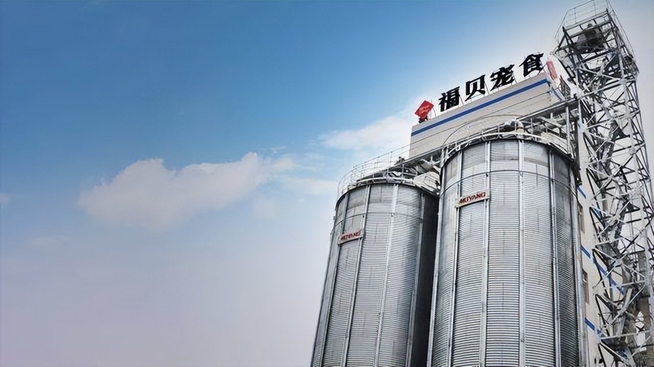 怎么选便宜又好的猫粮,猫粮盲选