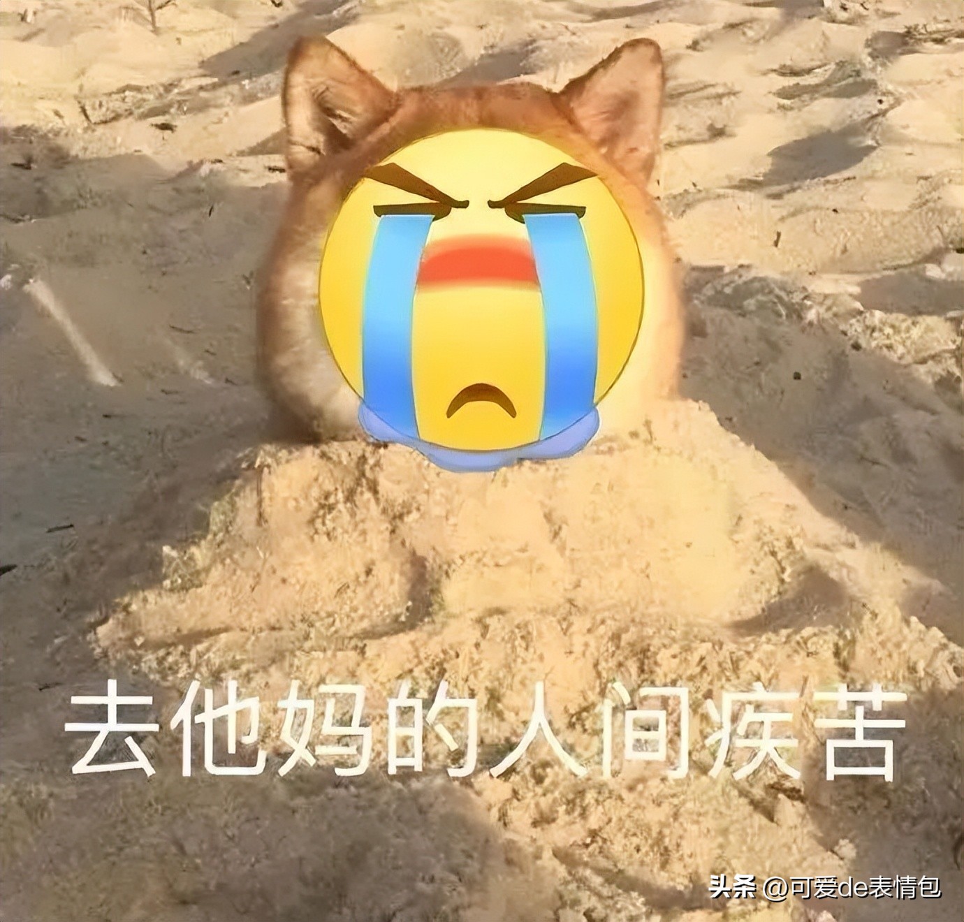 热门微信表情包收藏,微信那些可爱的表情包