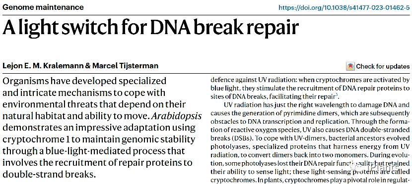 【NaturePlants】突破！上海师大揭示蓝光调控DNA修复新的途径