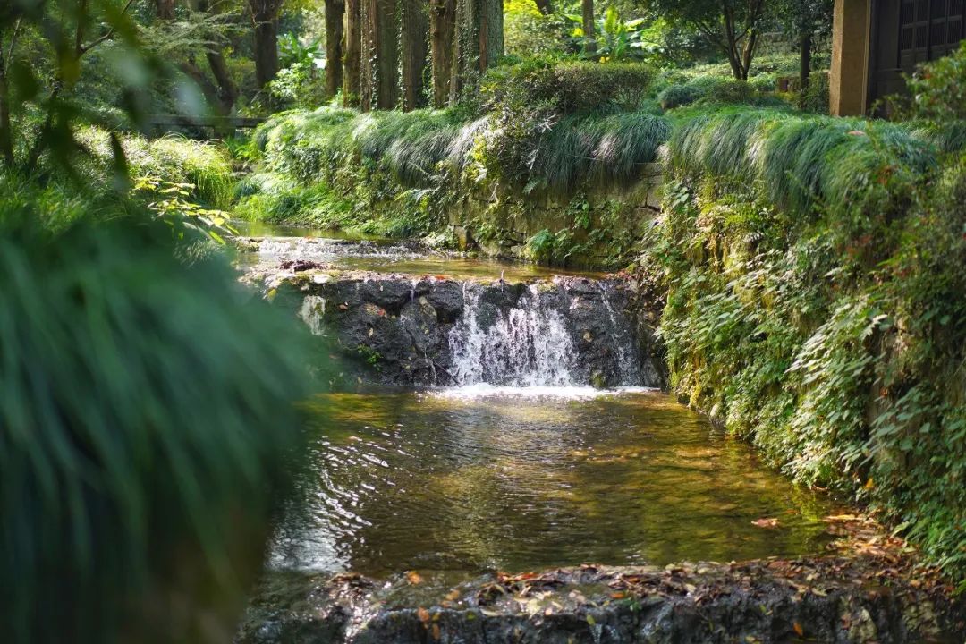 探秘顶级豪华酒店,杭州法云安缦酒店价格
