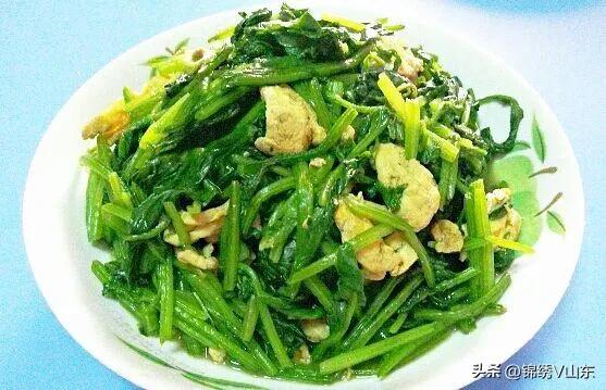 香味浓郁不油腻下饭的家常菜,推荐几道家常菜好吃下饭真心不错