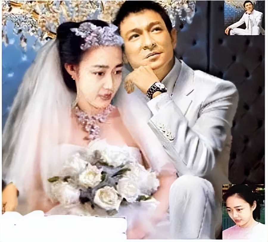 朱丽倩刘德华生了几个孩子,朱丽倩为刘德华生了几个孩子