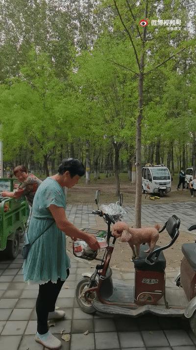 严查春节档电影互撕,春节档电影互撕