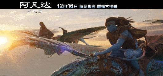 年底压轴王炸来袭莱昂纳多,年底收官王炸最后一天