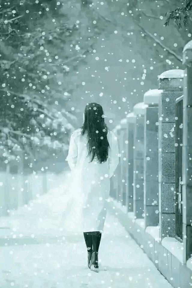 今日大雪飘落诗词,今日大雪优美句子