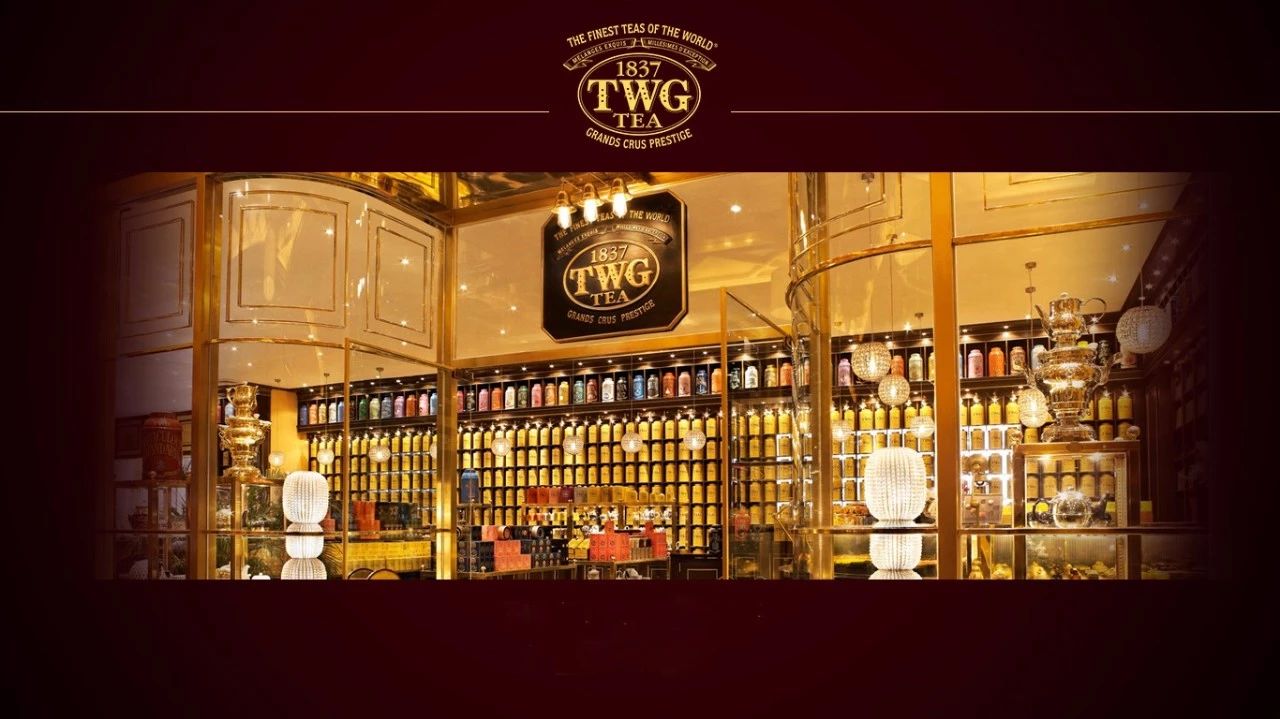 鏂囧湥鑼惰瘽,鏂囪儨鑼惰