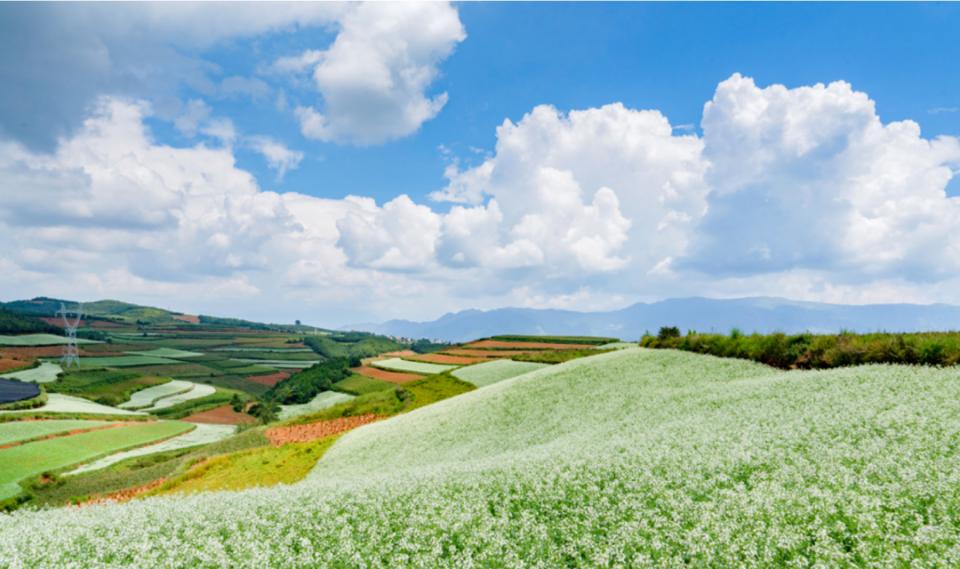 9月哪个地方适合旅居,三月旅居城市推荐