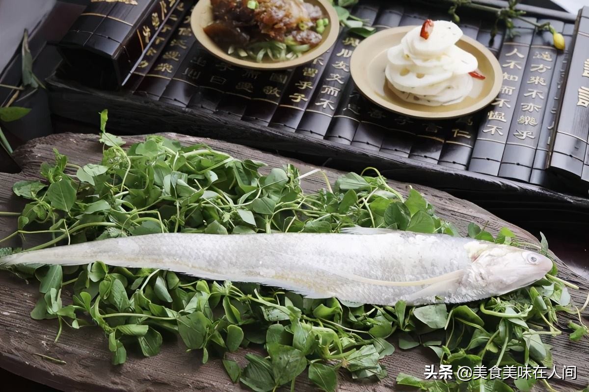 天价刀鱼,天价刀鱼怎么做