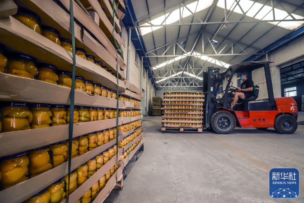 遵化食品加工业帮农增收30亿元,遵化农产品加工忙