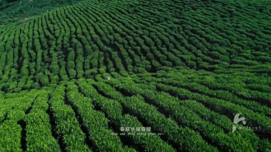 避暑游必去的地方,避暑推荐旅游攻略