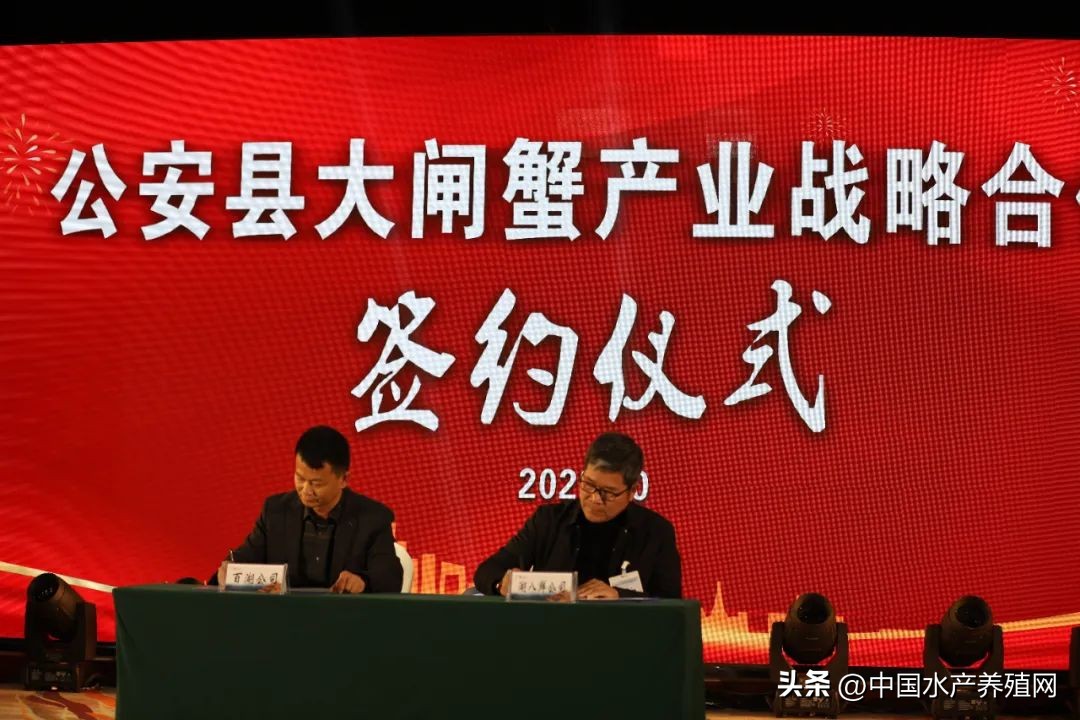 阳澄湖大闸蟹路线图,去阳澄湖大闸蟹攻略路线