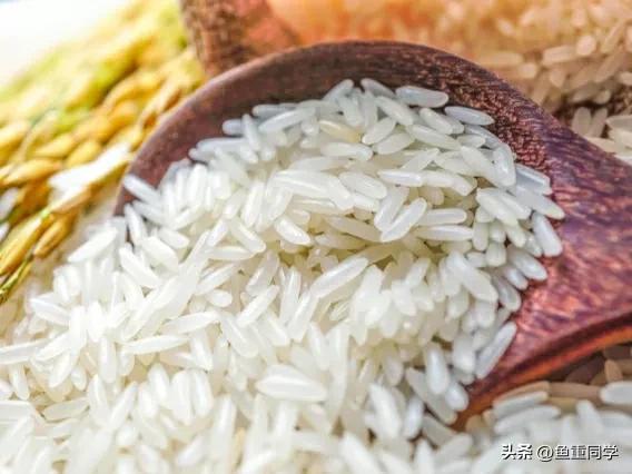 霜降寓意着天气逐渐变冷,今年霜降日是什么预兆