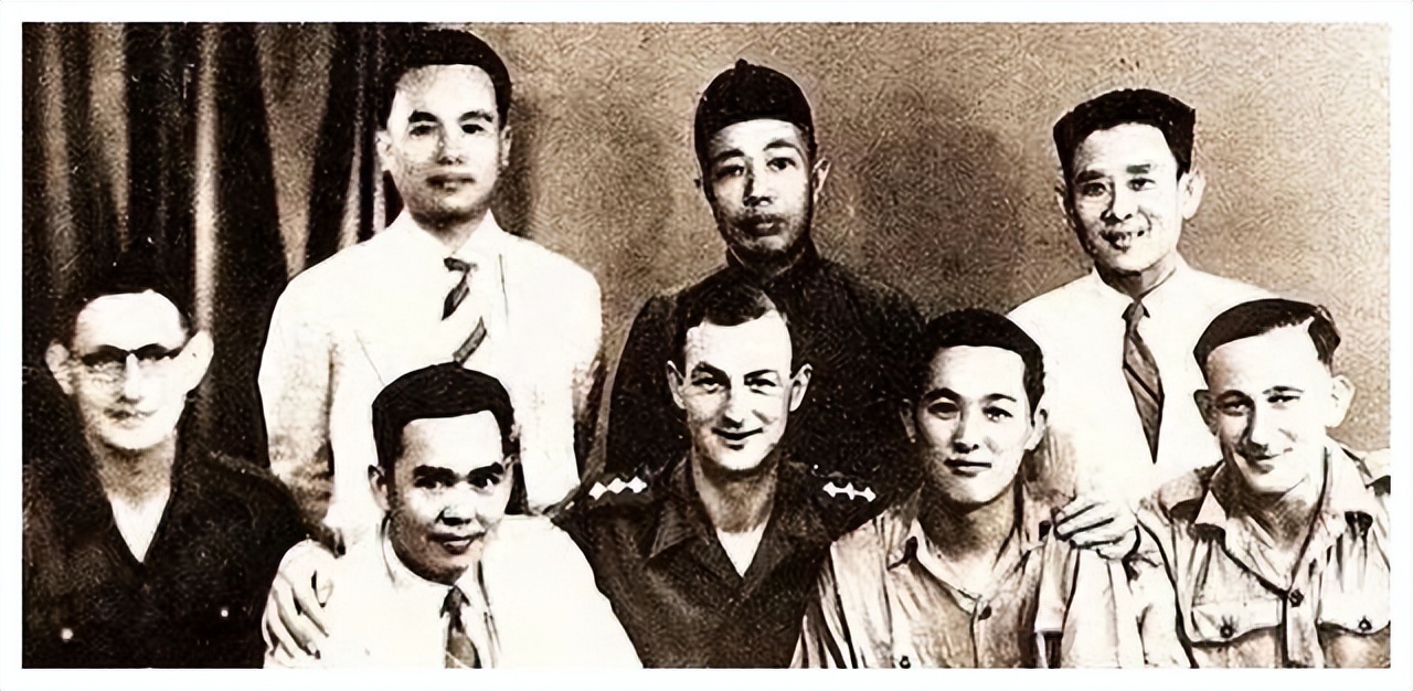 嘉顿饼干走红,嘉顿饼干新闻