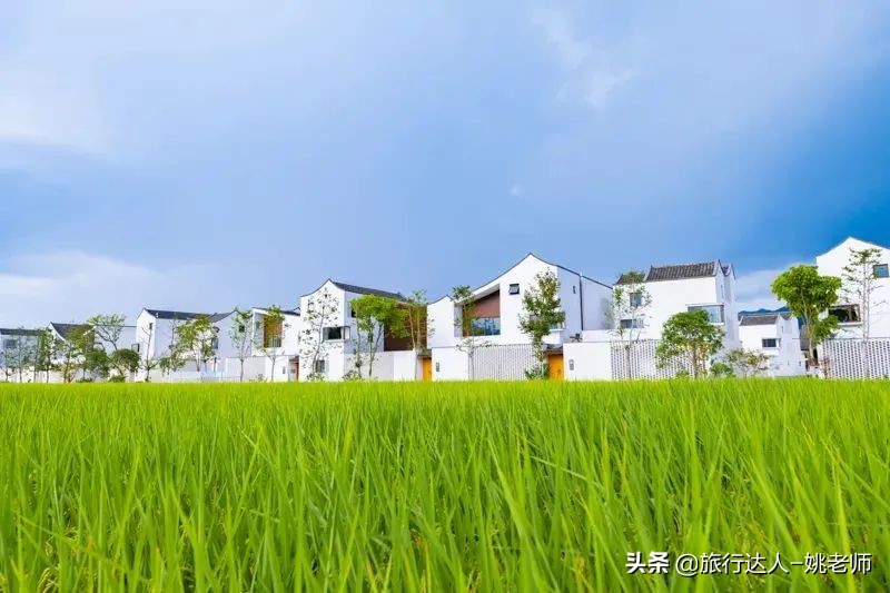 杭州团建有趣好玩室内公司拓展,富阳景区团建攻略推荐