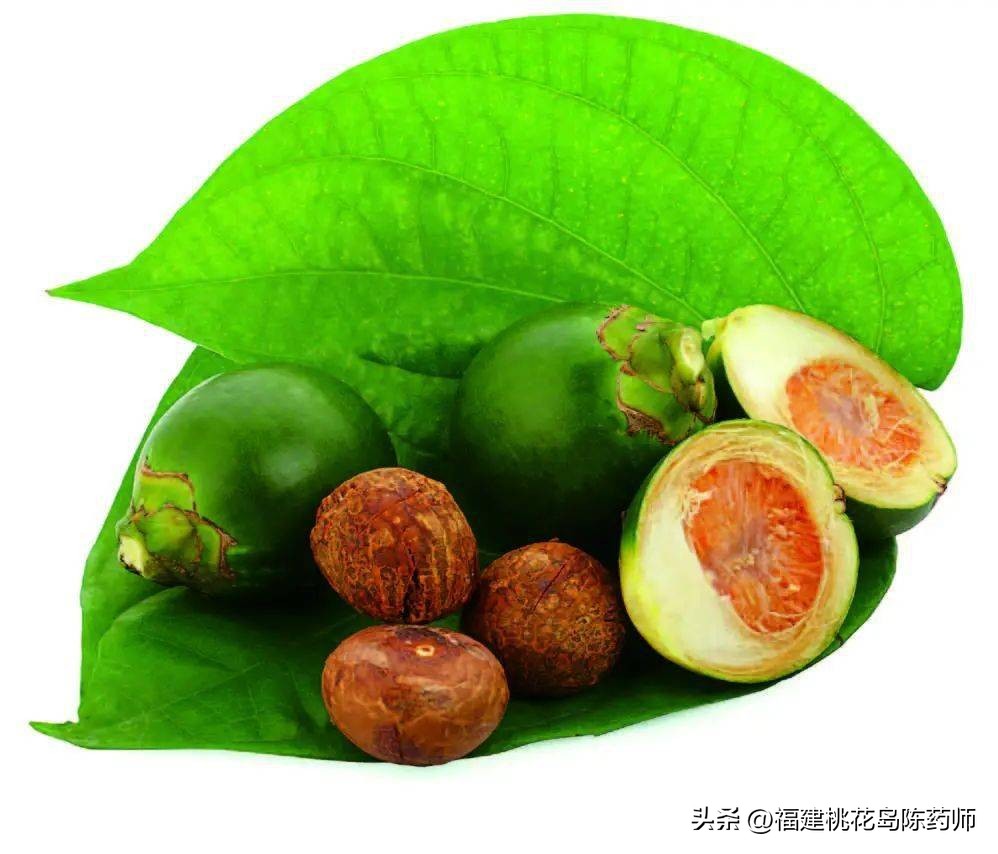 有毒的植物和解毒的草药,植物有毒药材名称大全