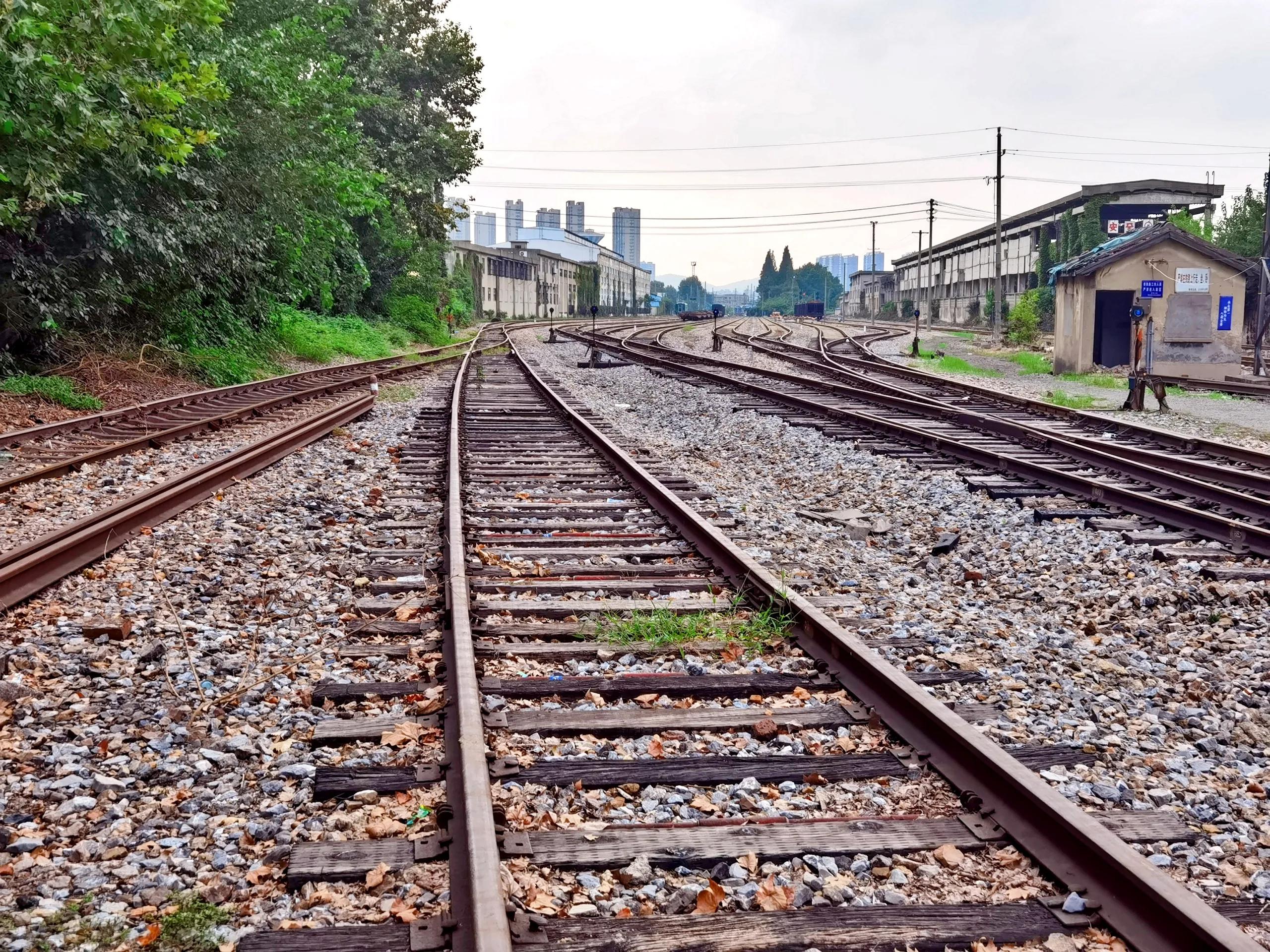 自律到底要怎么自律,如何才能逼自己做到真正的自律