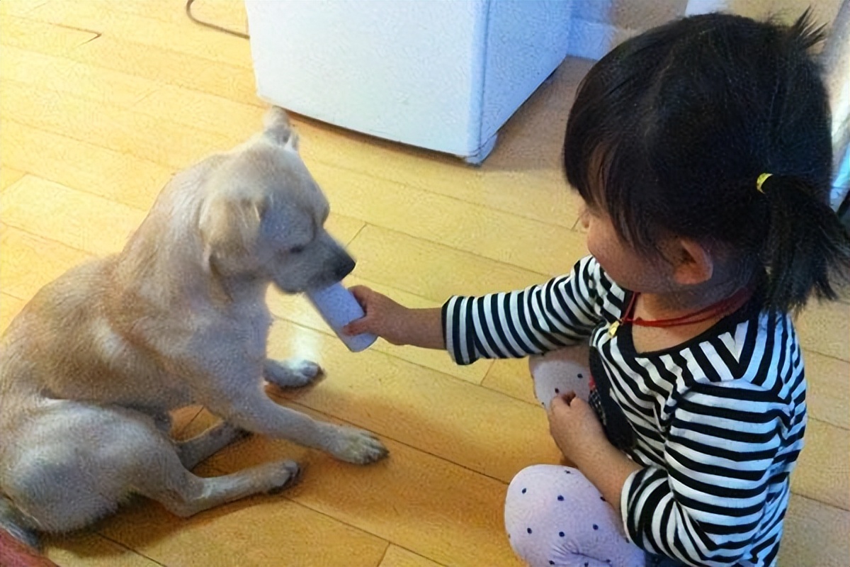 每天早晨一个水煮鸡蛋对肝的好处,每天早上吃2个鸡蛋对肝有损害吗