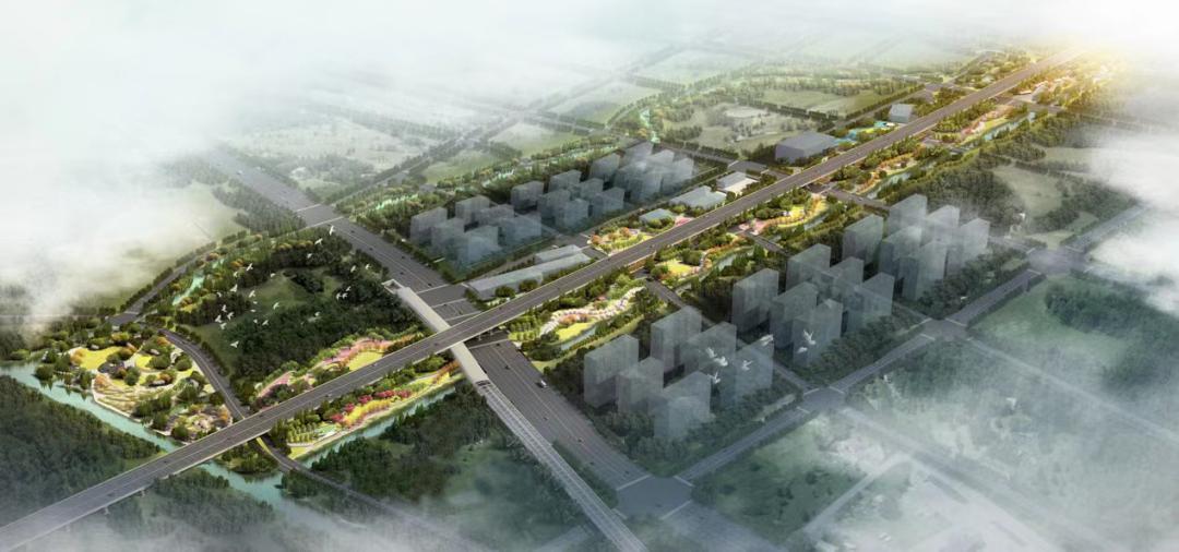 刚刚！临平3宗宝地“封抢”！滨江首入南融主城板块