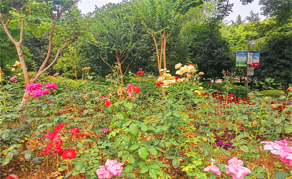 南京小西湖历史风貌,小西湖景区南京市江宁区