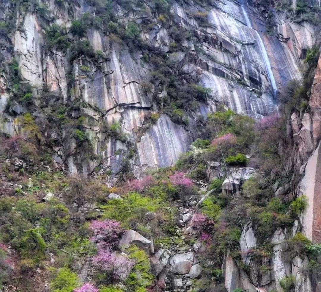 感叹华山山河壮丽的诗句,一览华山
