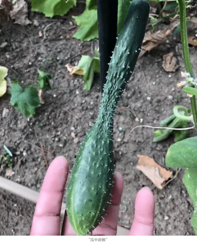 汤唯现在怎样了,汤唯现在的状况