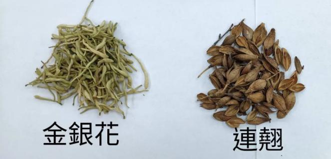连花清瘟只适用治疗风寒感冒,连花清瘟能治疗呼吸困难吗