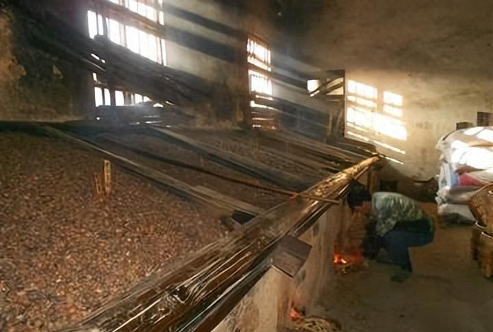 曾是皇帝*用御**，如今却无人问津，“油中软黄金”如何走向末路？