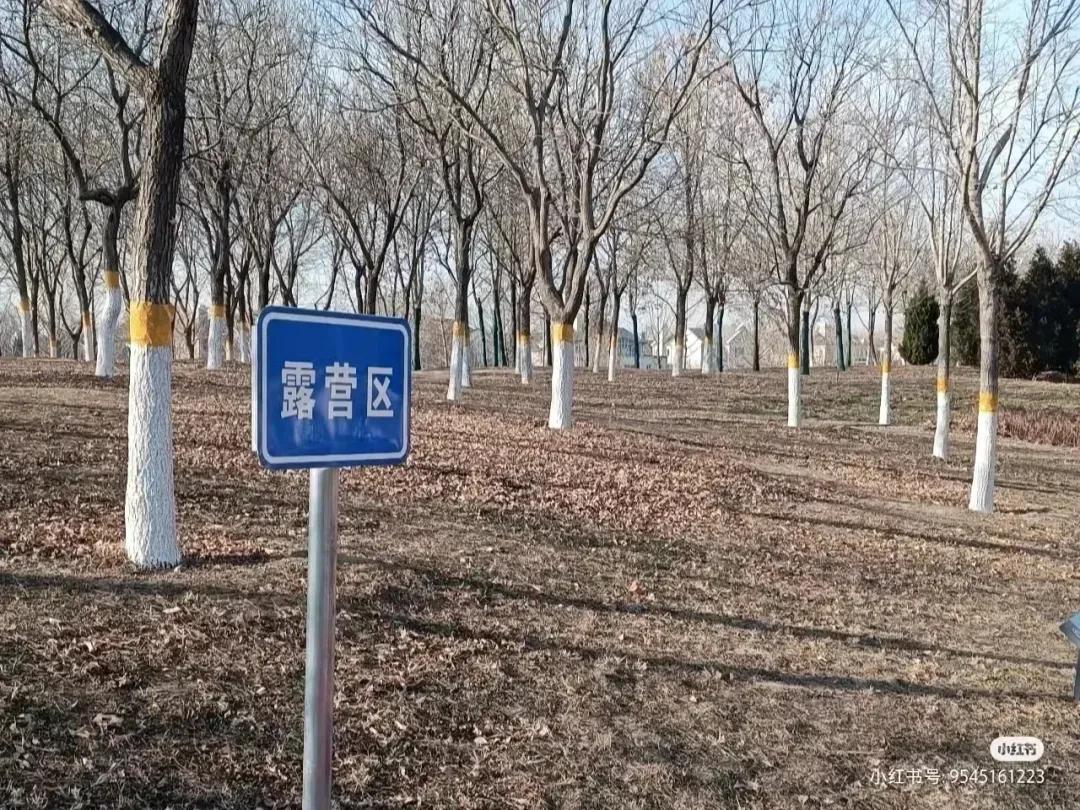 北京十一免费露营野餐地点推荐,又是一年野餐季