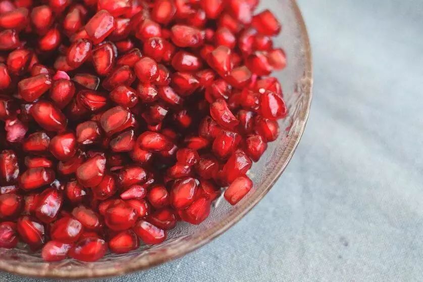 泰迪不能吃的全部食物,泰迪哪几种食物不能吃